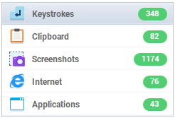 Loaded report with category record counts